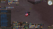 Shot01073.jpg
