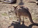 DSCN0342.JPG