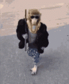 IMG_3100.gif