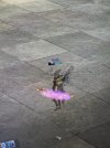 IMG_6367.jpeg