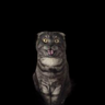 MHKMV