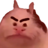 Reina