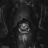 Guldan