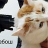 НеБейМеня