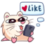:sticker-vk-nutri-038: